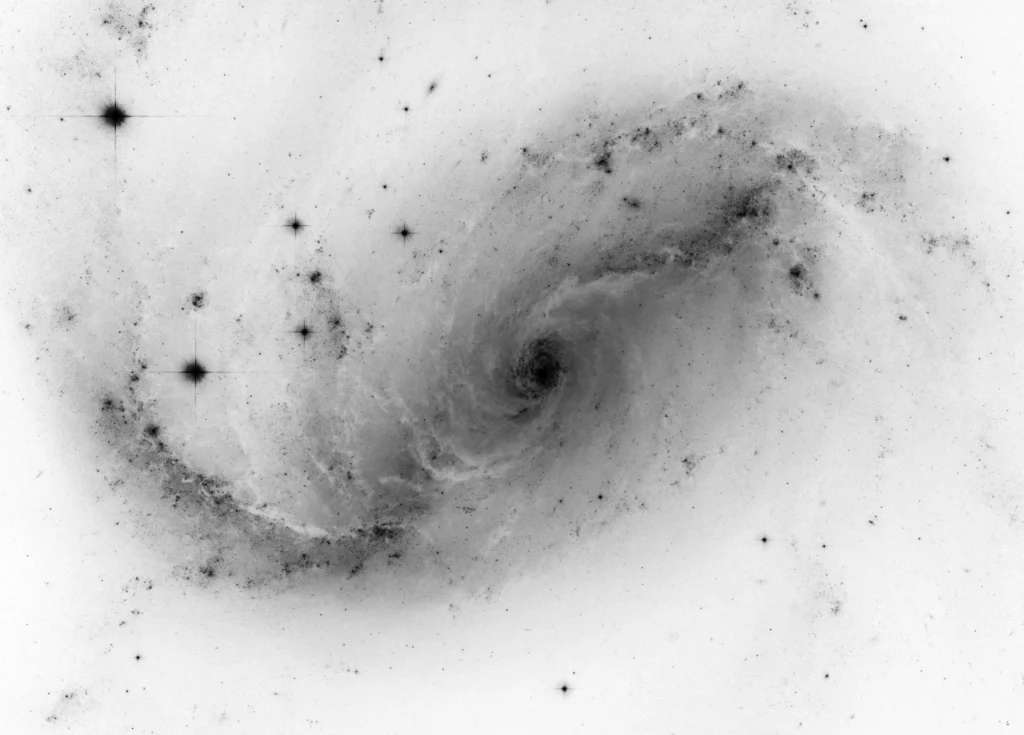 Socialized black hole